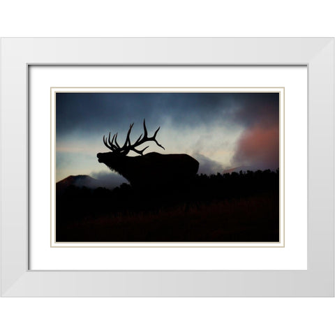 Bugling elk silhouetted against the Colorado Rocky Mountains White Modern Wood Framed Art Print with Double Matting by SMO