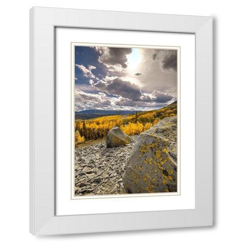 A valley of gold Aspen on Ohio Pass in the Colorado Rocky Mountains near Crested Butte White Modern Wood Framed Art Print with Double Matting by SMO