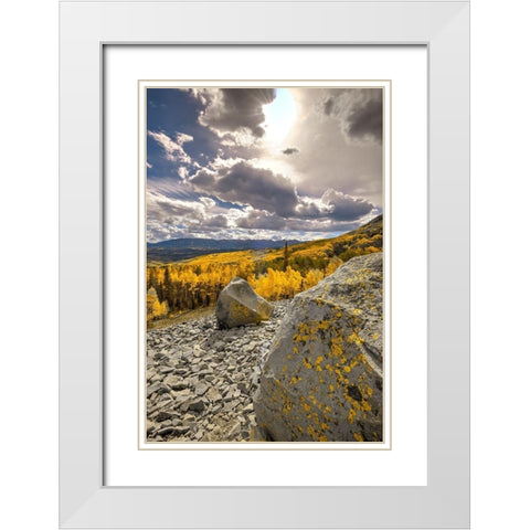A valley of gold Aspen on Ohio Pass in the Colorado Rocky Mountains near Crested Butte White Modern Wood Framed Art Print with Double Matting by SMO