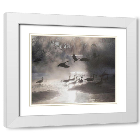 Geese in the mist in Colorados Rocky Mountains White Modern Wood Framed Art Print with Double Matting by SMO
