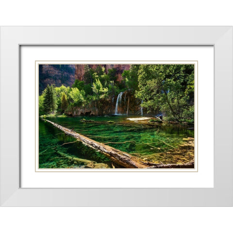 Lush and beautiful hanging lake near Glenwood springs in the Colorado Rocky Mountains White Modern Wood Framed Art Print with Double Matting by SMO