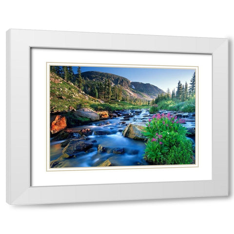 Fresh Rocky Mountain spring runoff cascades past wildflowers in bloom White Modern Wood Framed Art Print with Double Matting by SMO