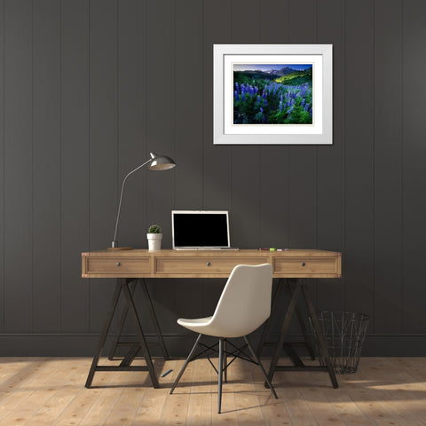 Lupine on Dallas divide with distant my snaffles near Telluride in the Colorado Rocky Mountains White Modern Wood Framed Art Print with Double Matting by SMO