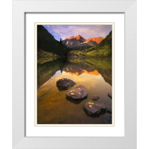 Aspen leaves signify the end of Fall and the beginning of winter at the maroon bells White Modern Wood Framed Art Print with Double Matting by SMO