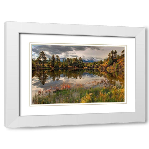 A tranquil pond reflects Mt Snaffles and Fall in the Colorado Rocky Mountains White Modern Wood Framed Art Print with Double Matting by SMO