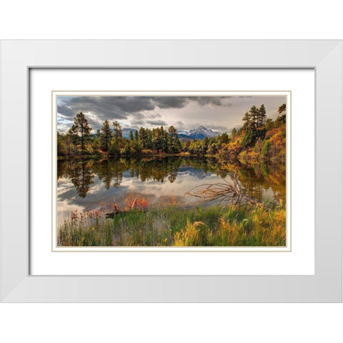 A tranquil pond reflects Mt Snaffles and Fall in the Colorado Rocky Mountains White Modern Wood Framed Art Print with Double Matting by SMO