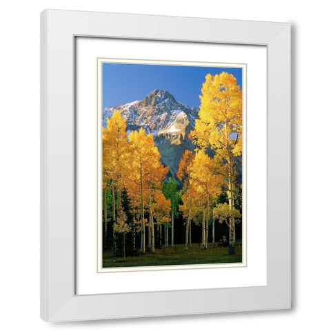 A mountain actually named unnamed 13334 flanked by Fall Aspen trees in the Colorado Rocky Mountains White Modern Wood Framed Art Print with Double Matting by SMO