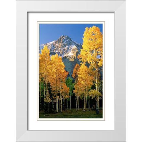A mountain actually named unnamed 13334 flanked by Fall Aspen trees in the Colorado Rocky Mountains White Modern Wood Framed Art Print with Double Matting by SMO