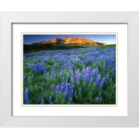 Wilson Peak near Telluride in the Colorado Rocky Mountains White Modern Wood Framed Art Print with Double Matting by SMO