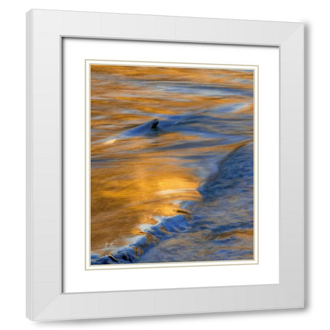 PA, Delaware Water Gap National Recreational Area White Modern Wood Framed Art Print with Double Matting by OBrien, Jay