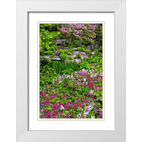 Delaware, Wilmington Flower abound in garden White Modern Wood Framed Art Print with Double Matting by OBrien, Jay