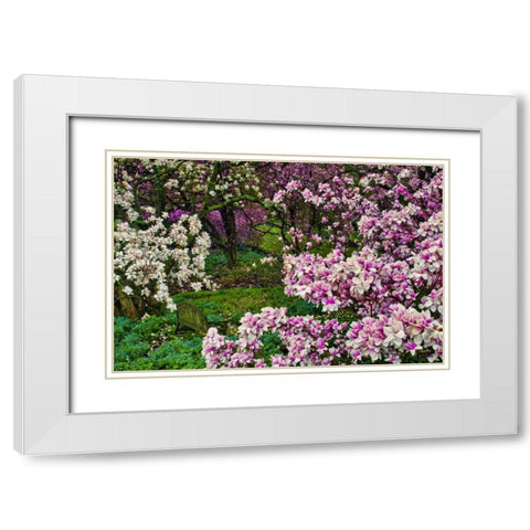 Delaware, Wilmington Flower and trees in garden White Modern Wood Framed Art Print with Double Matting by OBrien, Jay