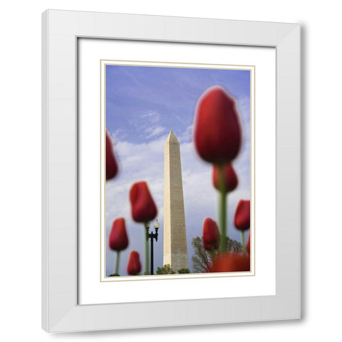 Washington DC, The Washington Monument White Modern Wood Framed Art Print with Double Matting by Flaherty, Dennis