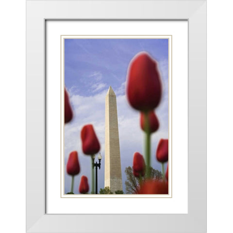 Washington DC, The Washington Monument White Modern Wood Framed Art Print with Double Matting by Flaherty, Dennis