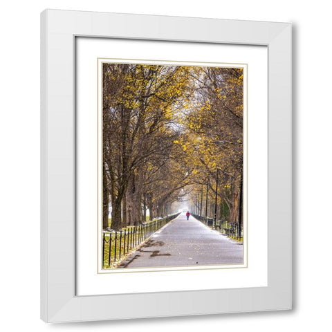 USA-District of Columbia-A snowy afternoon White Modern Wood Framed Art Print with Double Matting by Looney, Hollice