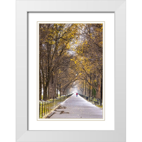 USA-District of Columbia-A snowy afternoon White Modern Wood Framed Art Print with Double Matting by Looney, Hollice