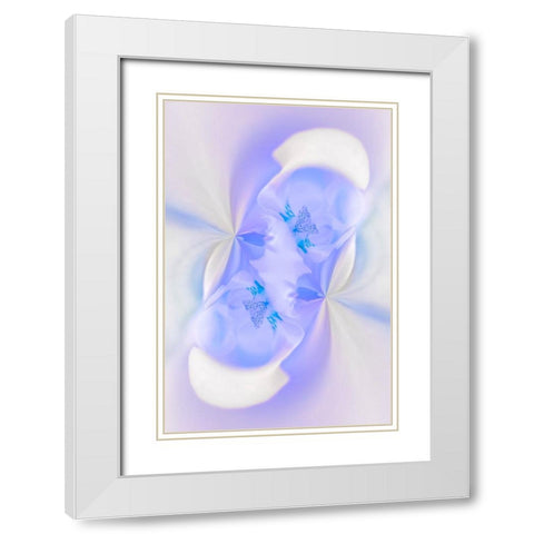 White Orchid flower-Florida White Modern Wood Framed Art Print with Double Matting by Jones, Adam