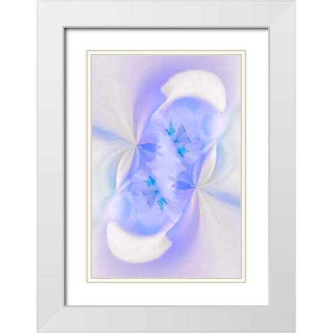 White Orchid flower-Florida White Modern Wood Framed Art Print with Double Matting by Jones, Adam