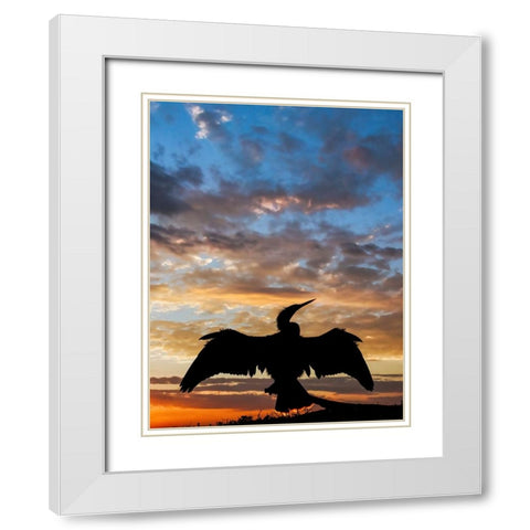 Anhinga silhouetted at sunset-Florida White Modern Wood Framed Art Print with Double Matting by Jones, Adam