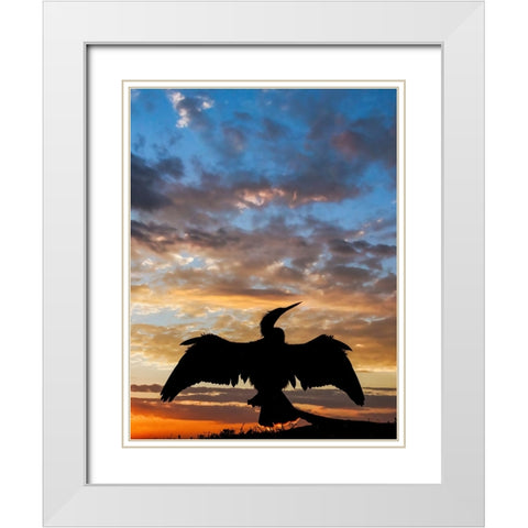 Anhinga silhouetted at sunset-Florida White Modern Wood Framed Art Print with Double Matting by Jones, Adam