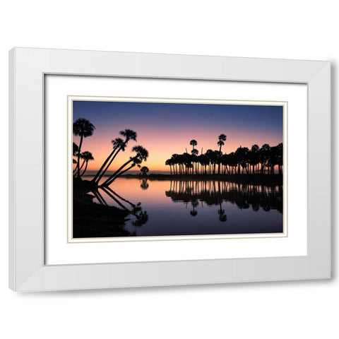 Sable palms silhouetted at sunrise on the Econlockhatchee River White Modern Wood Framed Art Print with Double Matting by Jones, Adam