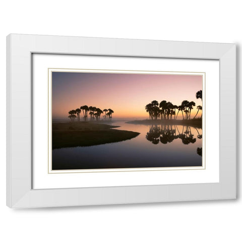 Sable palms silhouetted at sunrise on the Econlockhatchee River White Modern Wood Framed Art Print with Double Matting by Jones, Adam
