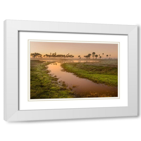 Sable palms silhouetted at sunrise on the Econlockhatchee River White Modern Wood Framed Art Print with Double Matting by Jones, Adam
