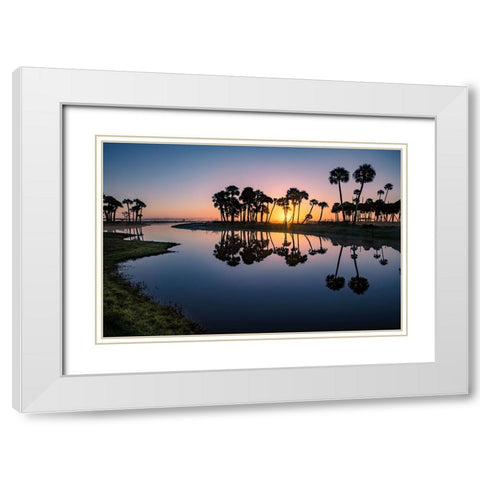 Sable palms silhouetted at sunrise on the Econlockhatchee River White Modern Wood Framed Art Print with Double Matting by Jones, Adam