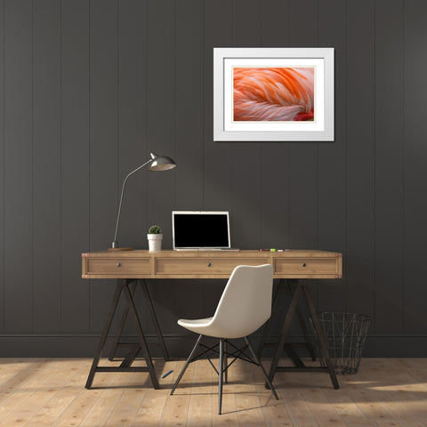 Pink feather pattern on back of flamingo-Florida White Modern Wood Framed Art Print with Double Matting by Jones, Adam