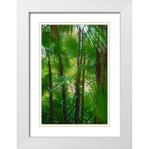 Florida-Tropical Garden Palms White Modern Wood Framed Art Print with Double Matting by Miller, Anna