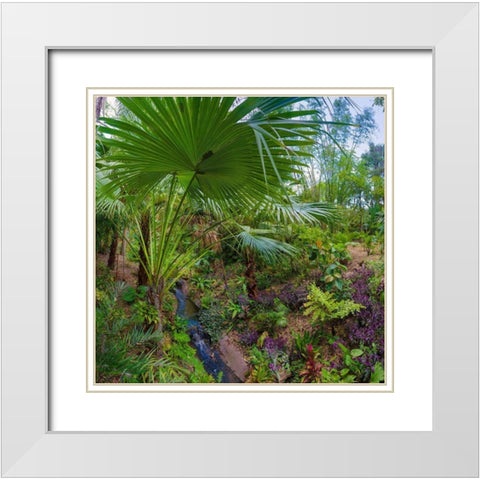 Florida-Tropical Garden with Palm Frond White Modern Wood Framed Art Print with Double Matting by Miller, Anna