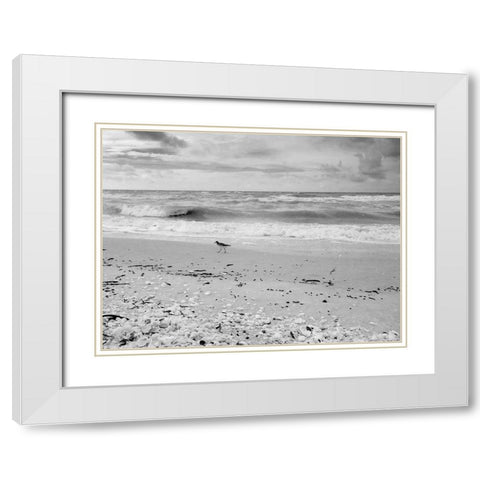 Black and white Beach-Sanibel Island-Florida-USA White Modern Wood Framed Art Print with Double Matting by Miller, Anna