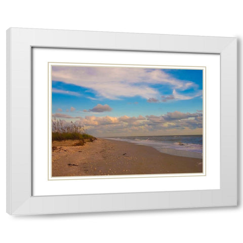 Beach-Sanibel Island-Florida-USA White Modern Wood Framed Art Print with Double Matting by Miller, Anna