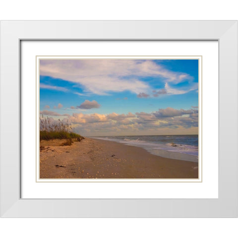 Beach-Sanibel Island-Florida-USA White Modern Wood Framed Art Print with Double Matting by Miller, Anna