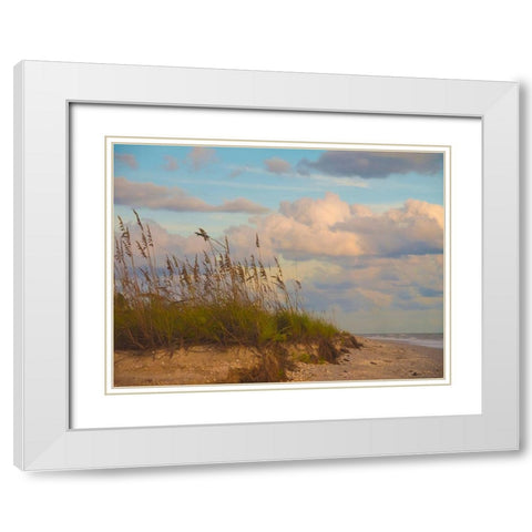 Beach-Sanibel Island-Florida-USA White Modern Wood Framed Art Print with Double Matting by Miller, Anna