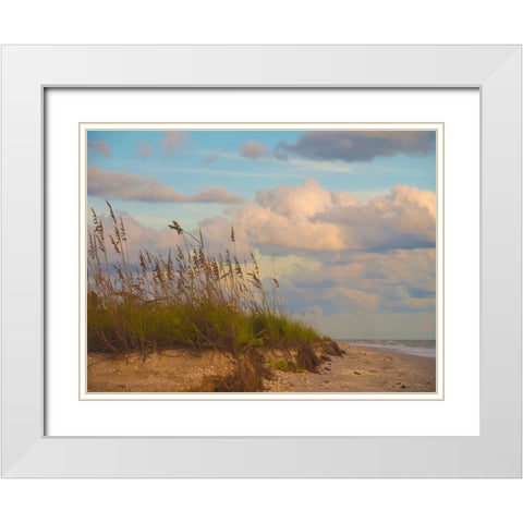 Beach-Sanibel Island-Florida-USA White Modern Wood Framed Art Print with Double Matting by Miller, Anna