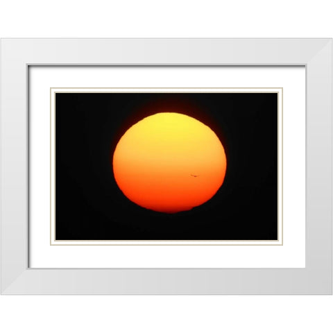 FL, Ft Myers Silhouette of bird flying White Modern Wood Framed Art Print with Double Matting by Morris, Arthur