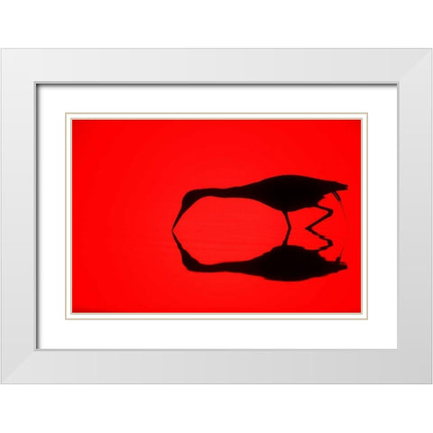 FL, Ding Darling NWR Silhouette of a heron White Modern Wood Framed Art Print with Double Matting by Morris, Arthur