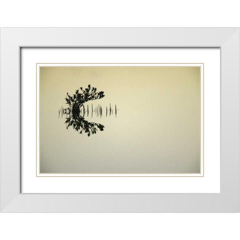 FL, Titusvulle, Merritt Island NWR Mangrove White Modern Wood Framed Art Print with Double Matting by Morris, Arthur