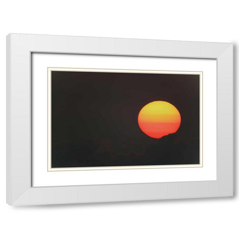 FL, Blue Cypress Lake Sunrise globe with clouds White Modern Wood Framed Art Print with Double Matting by Morris, Arthur