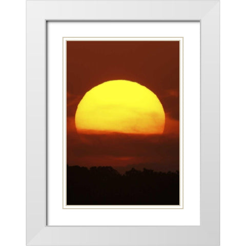 FL, Vierra Wetlands Giant sun at sunset White Modern Wood Framed Art Print with Double Matting by Morris, Arthur