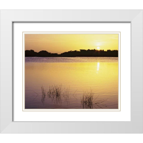 Florida, Everglades NP Sunset reflection on lake White Modern Wood Framed Art Print with Double Matting by Flaherty, Dennis