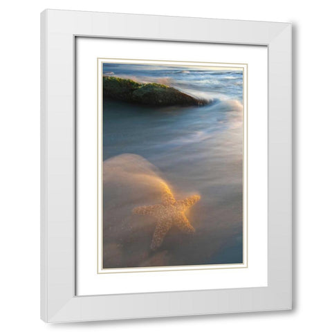 USA, Florida, St Augustine White Modern Wood Framed Art Print with Double Matting by Rotenberg, Nancy