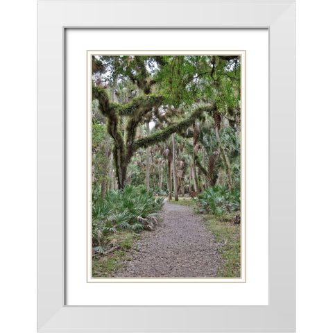 USA-Florida-Sarasota-Myakka River State Park White Modern Wood Framed Art Print with Double Matting by Looney, Hollice