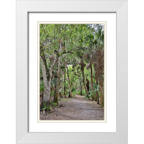 USA-Florida-Sarasota-Myakka River State Park White Modern Wood Framed Art Print with Double Matting by Looney, Hollice