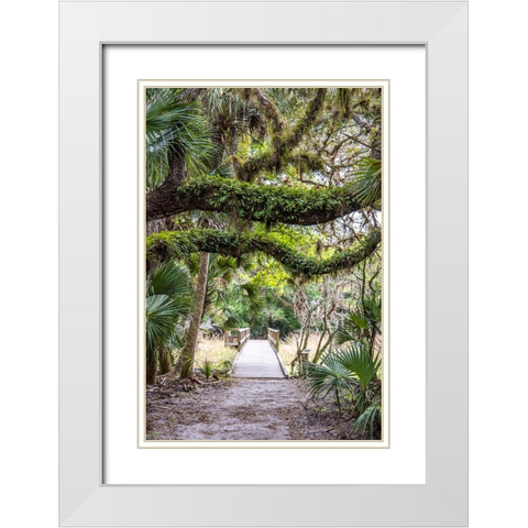 USA-Florida-Sarasota-Myakka River State Park White Modern Wood Framed Art Print with Double Matting by Looney, Hollice