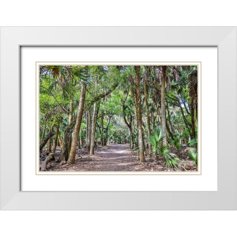 USA-Florida-Sarasota-Myakka River State Park White Modern Wood Framed Art Print with Double Matting by Looney, Hollice