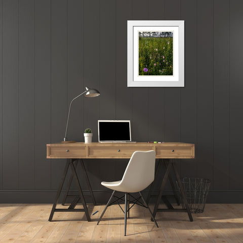 Marsh Mallow blooms in a South Florida prairie White Modern Wood Framed Art Print with Double Matting by Richardson, Larry