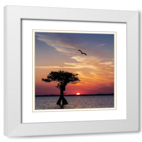 Sunset on Blue Cypress Lake Conservation Area-Vero Beach-Florida White Modern Wood Framed Art Print with Double Matting by Pryor, Maresa