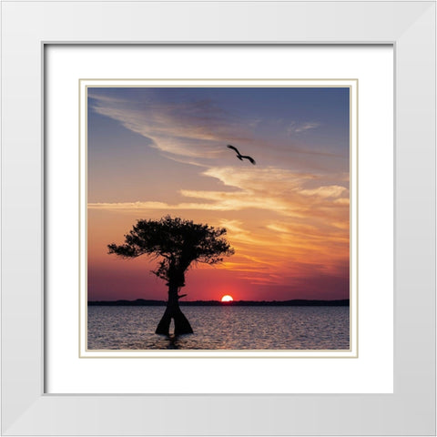 Sunset on Blue Cypress Lake Conservation Area-Vero Beach-Florida White Modern Wood Framed Art Print with Double Matting by Pryor, Maresa